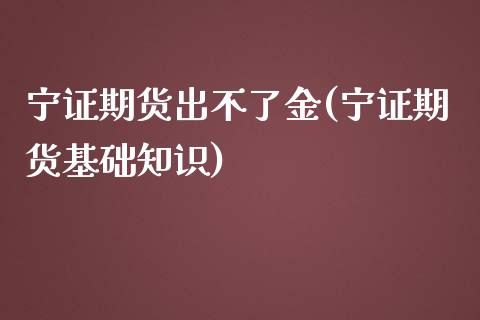 宁证期货出不了金(宁证期货基础知识)