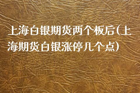 上海白银期货两个板后(上海期货白银涨停几个点)_https://www.boyangwujin.com_期货直播间_第1张