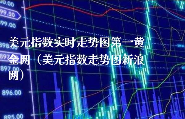 美元指数实时走势图第一黄金网（美元指数走势图新浪网）