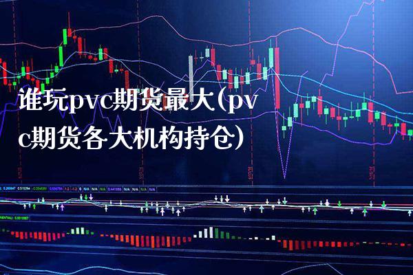 谁玩pvc期货最大(pvc期货各大机构持仓)_https://www.boyangwujin.com_期货直播间_第1张