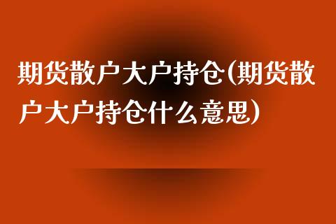 期货散户大户持仓(期货散户大户持仓什么意思)_https://www.boyangwujin.com_黄金期货_第1张