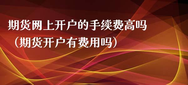 期货网上开户的手续费高吗（期货开户有费用吗）