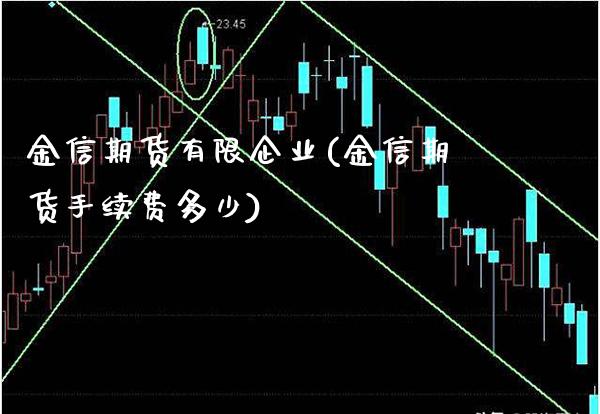 金信期货有限企业(金信期货手续费多少)