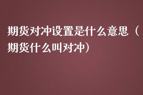 期货对冲设置是什么意思（期货什么叫对冲）