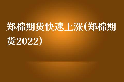 郑棉期货快速上涨(郑棉期货2022)