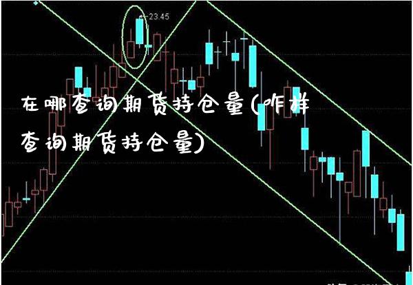 在哪查询期货持仓量(咋样查询期货持仓量)