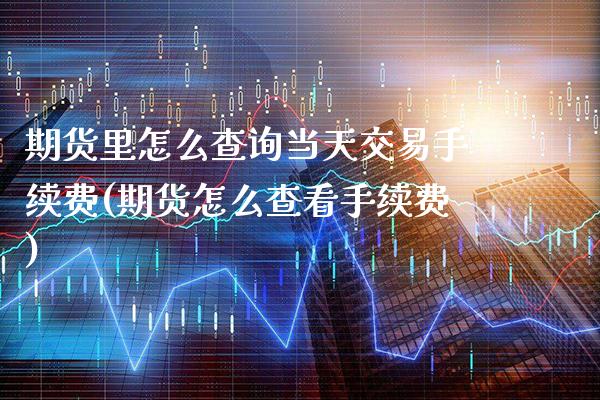 期货里怎么查询当天交易手续费(期货怎么查看手续费)