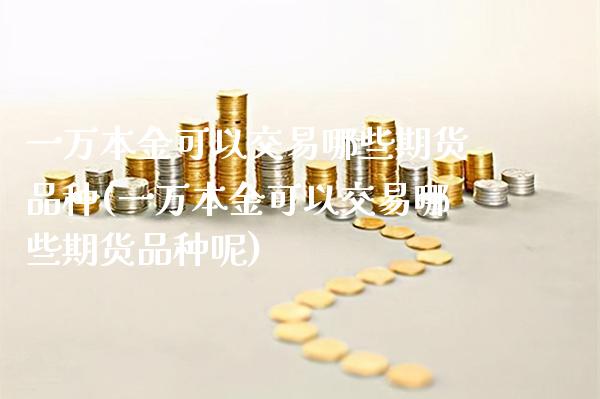 一万本金可以交易哪些期货品种(一万本金可以交易哪些期货品种呢)