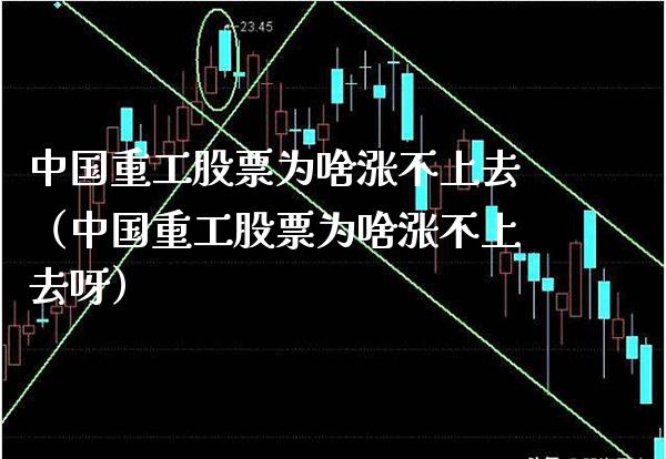 中国重工股票为啥涨不上去（中国重工股票为啥涨不上去呀）