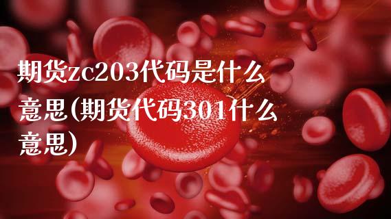 期货zc203代码是什么意思(期货代码301什么意思)