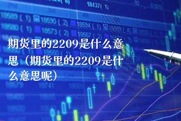 期货里的2209是什么意思（期货里的2209是什么意思呢）