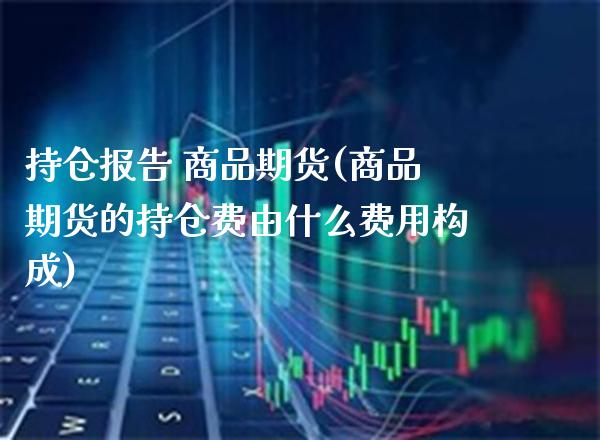 持仓报告 商品期货(商品期货的持仓费由什么费用构成)