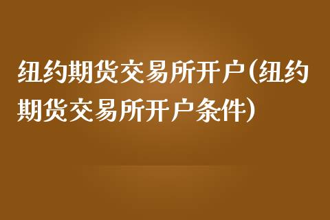 纽约期货交易所开户(纽约期货交易所开户条件)