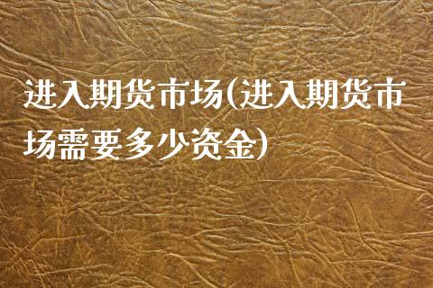 进入期货市场(进入期货市场需要多少资金)_https://www.boyangwujin.com_期货直播间_第1张