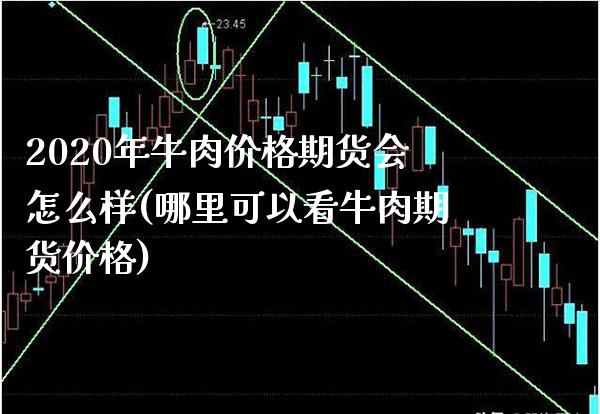 2020年牛肉价格期货会怎么样(哪里可以看牛肉期货价格)