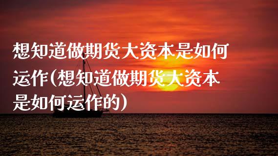 想知道做期货大资本是如何运作(想知道做期货大资本是如何运作的)