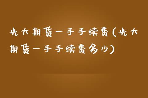 光大期货一手手续费(光大期货一手手续费多少)