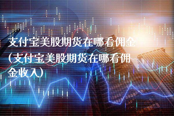 支付宝美股期货在哪看佣金(支付宝美股期货在哪看佣金收入)