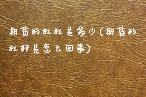 期货的杠杠是多少(期货的杠杆是怎么回事)_https://www.boyangwujin.com_恒指直播间_第1张