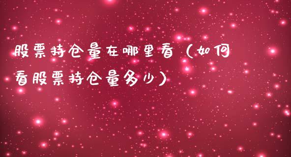 股票持仓量在哪里看（如何看股票持仓量多少）