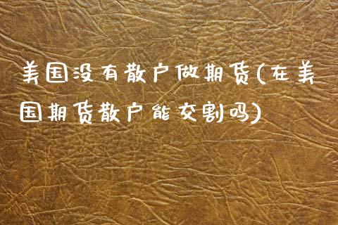 美国没有散户做期货(在美国期货散户能交割吗)_https://www.boyangwujin.com_黄金直播间_第1张