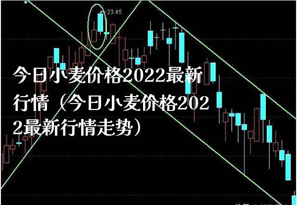 今日小麦价格2022最新行情（今日小麦价格2022最新行情走势）