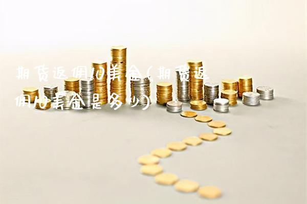 期货返佣10美金(期货返佣10美金是多少)