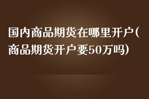 国内商品期货在哪里开户(商品期货开户要50万吗)