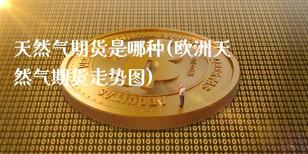 天然气期货是哪种(欧洲天然气期货走势图)_https://www.boyangwujin.com_黄金直播间_第1张