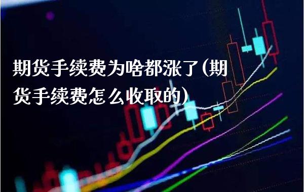 期货手续费为啥都涨了(期货手续费怎么收取的)_https://www.boyangwujin.com_黄金期货_第1张