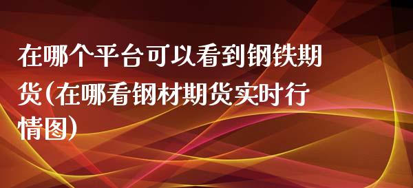 在哪个平台可以看到钢铁期货(在哪看钢材期货实时行情图)