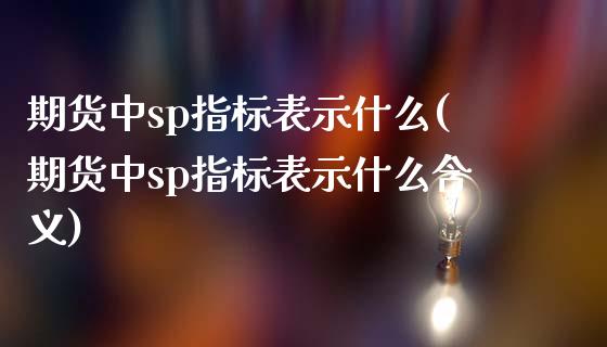 期货中sp指标表示什么(期货中sp指标表示什么含义)