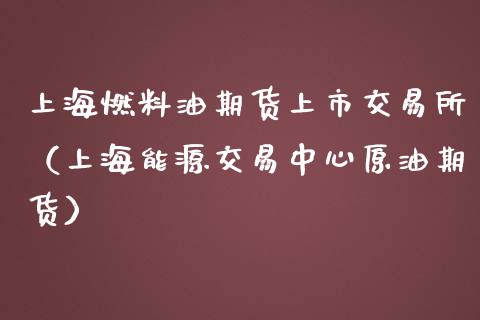 上海燃料油期货上市交易所（上海能源交易中心原油期货）