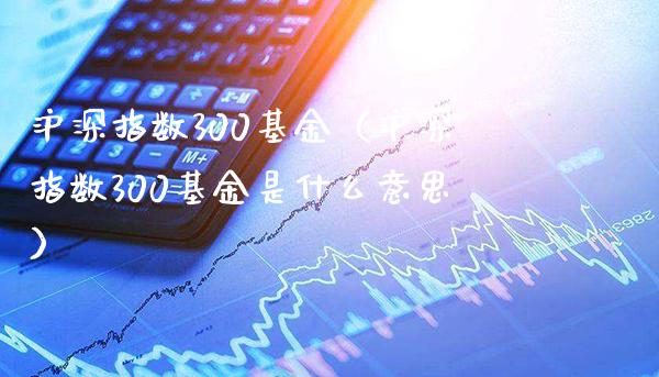 沪深指数300基金（沪深指数300基金是什么意思）