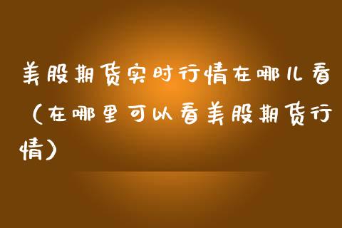 美股期货实时行情在哪儿看（在哪里可以看美股期货行情）_https://www.boyangwujin.com_原油期货_第1张