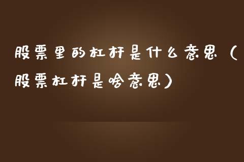 股票里的杠杆是什么意思（股票杠杆是啥意思）_https://www.boyangwujin.com_期货直播间_第1张