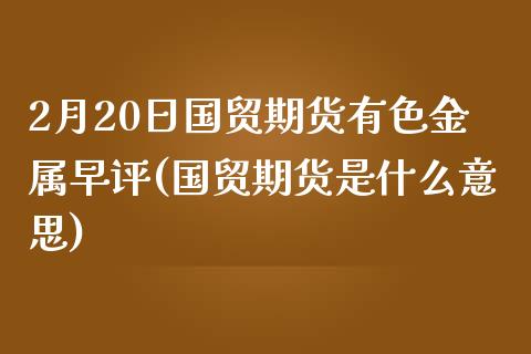 2月20日国贸期货有色金属早评(国贸期货是什么意思)