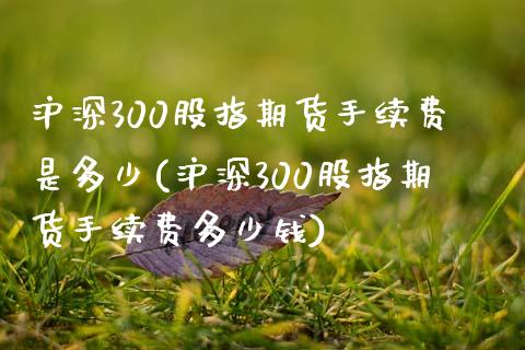 沪深300股指期货手续费是多少(沪深300股指期货手续费多少钱)