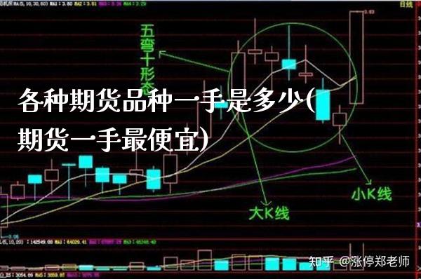 各种期货品种一手是多少(期货一手最便宜)_https://www.boyangwujin.com_恒指直播间_第1张