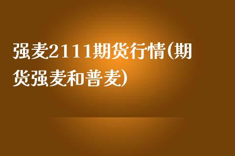 强麦2111期货行情(期货强麦和普麦)