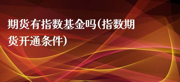 期货有指数基金吗(指数期货开通条件)