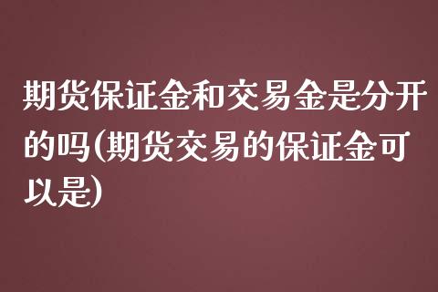 期货保证金和交易金是分开的吗(期货交易的保证金可以是)