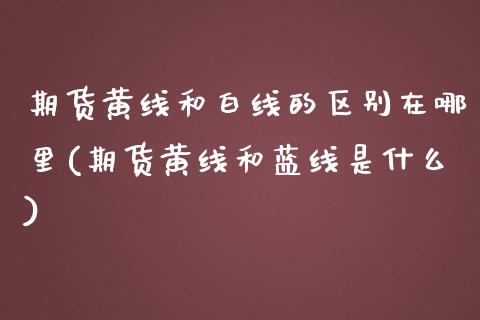 期货黄线和白线的区别在哪里(期货黄线和蓝线是什么)_https://www.boyangwujin.com_黄金期货_第1张