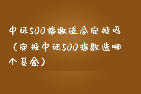 中证500指数适合定投吗（定投中证500指数选哪个基金）