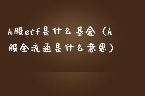 h股etf是什么基金（h股全流通是什么意思）