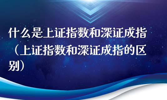 什么是上证指数和深证成指（上证指数和深证成指的区别）