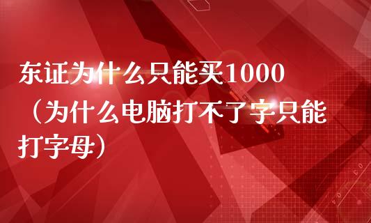 东证为什么只能买1000（为什么电脑打不了字只能打字母）