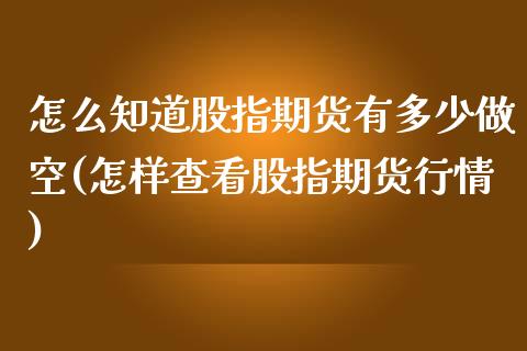 怎么知道股指期货有多少做空(怎样查看股指期货行情)_https://www.boyangwujin.com_纳指期货_第1张