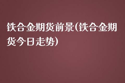 铁合金期货前景(铁合金期货今日走势)