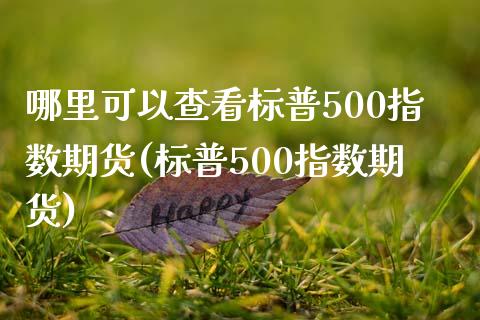 哪里可以查看标普500指数期货(标普500指数期货)